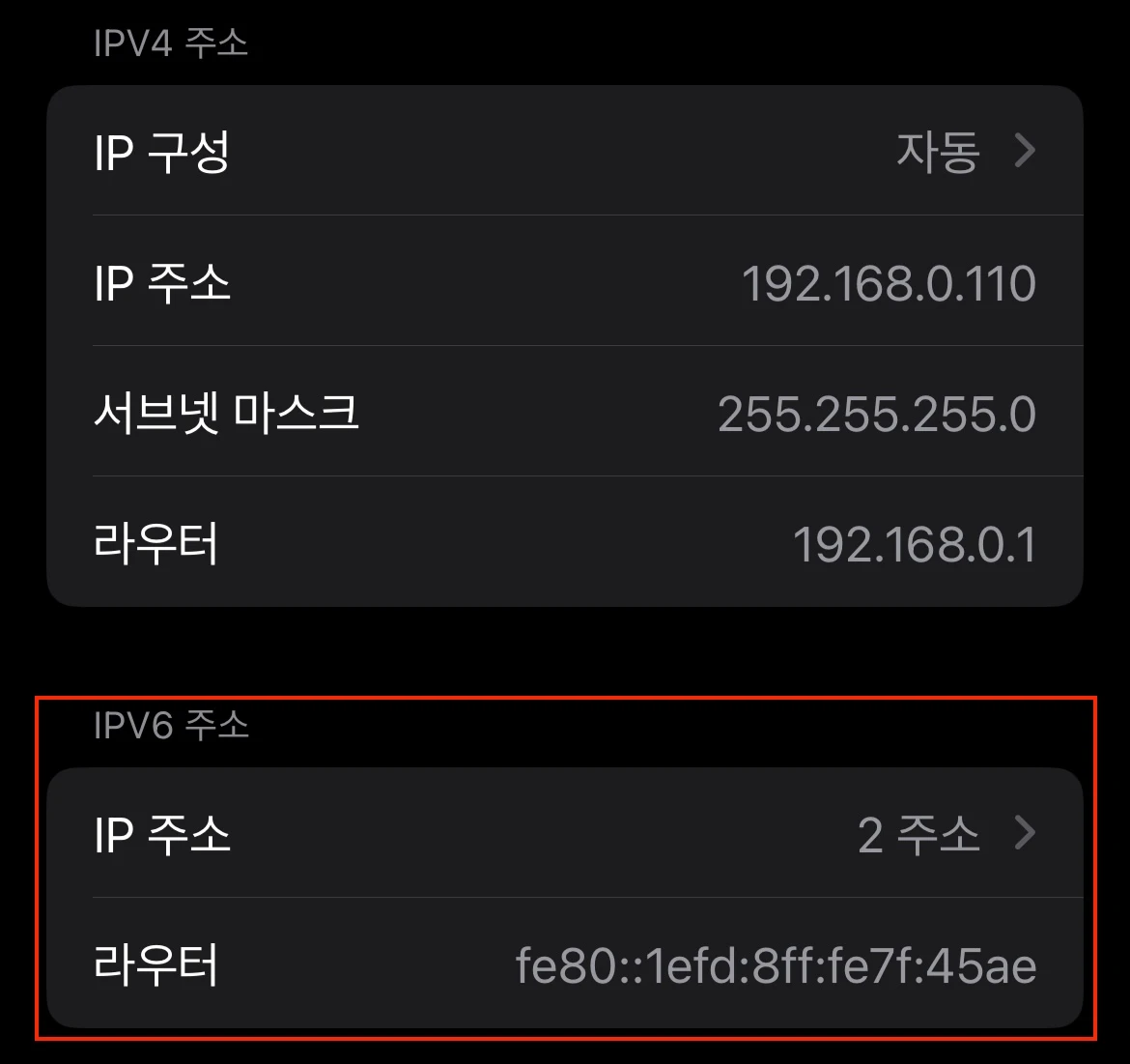 IPv6 부여 확인