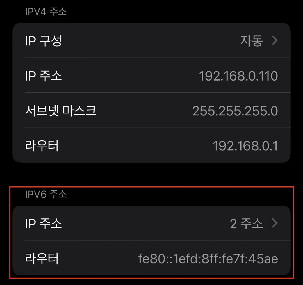 IPv6 부여 확인