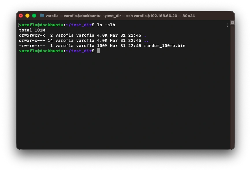 Backrest 백업 테스트 1