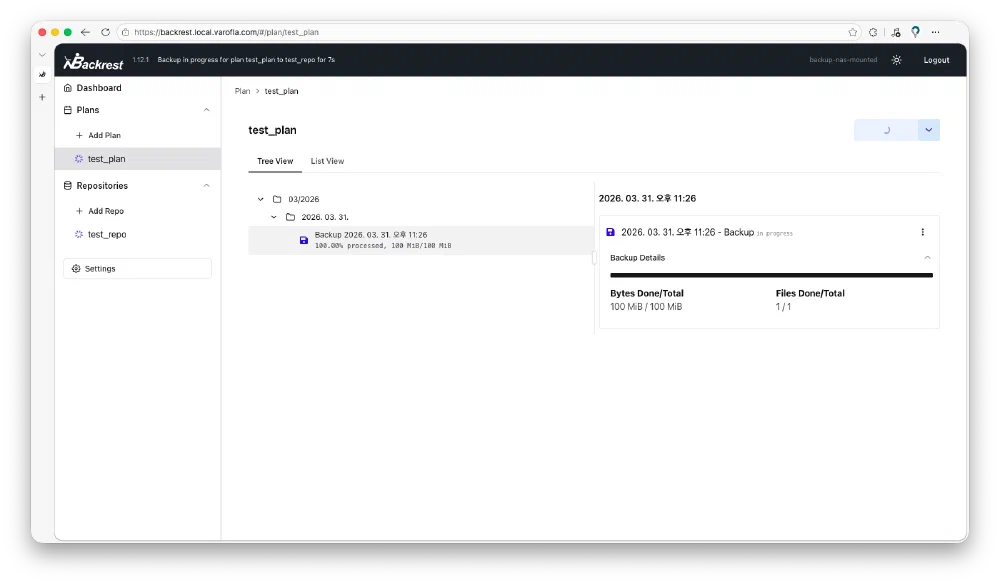 Backrest 백업 테스트 2