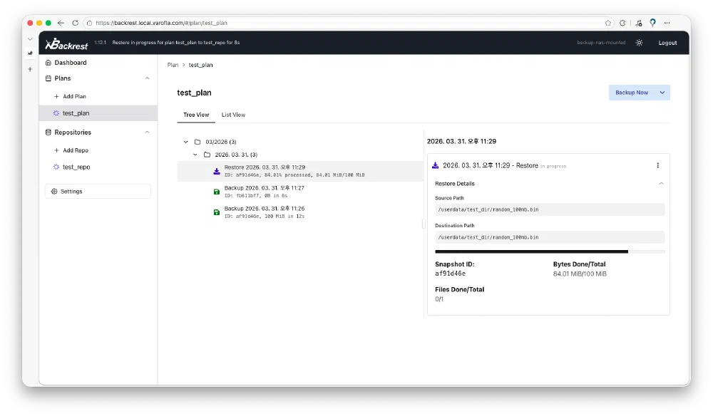 Backrest 복원 테스트 4